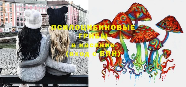 стаф Шадринск