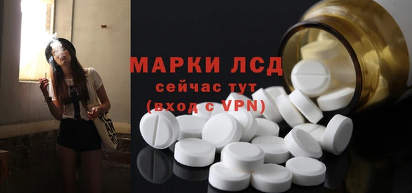 хмурый Снежногорск