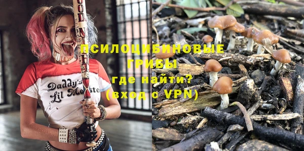хмурый Снежногорск