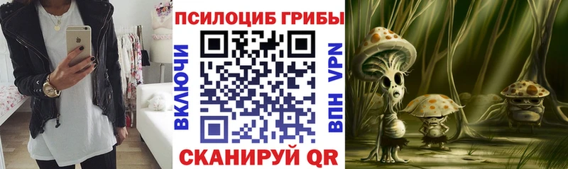 Псилоцибиновые грибы ЛСД  купить  цена  ссылка на мегу онион  Богучар 