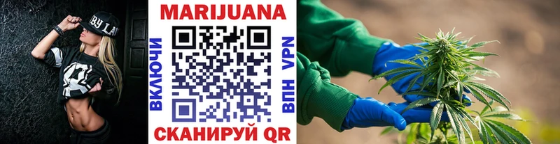 где можно купить   Богучар  Каннабис сатива 